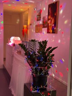 lpswich Begonia Relax Massage Ebbw Vale in Ipswich - Image 7