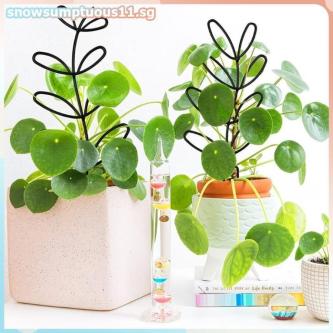 [snowsumptuous] Honeb Plant Support 2/4Pc Rustproof Durable … in Singapore - Image 1