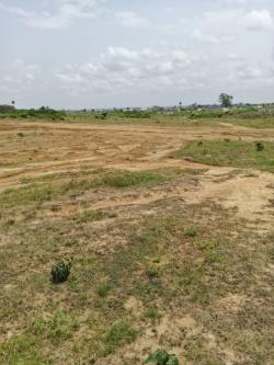 vente terrain bacimmo à Yamoussoukro - Photo 1