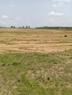 vente terrain bacimmo à Yamoussoukro - Photo 2
